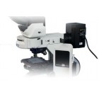 Нагревательные вставки для прямых микроскопов OLYMPUS: CX41, BX41, BX51, BX43, BX53, BX63
